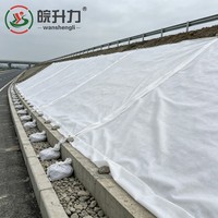 Géotextile non tissé filé à froid WSL pour la stabilisation des sous-sols de construction routière avec protection des pentes conformes aux normes ASTM
