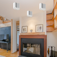 China FTY Modern GU10 Proyecto de doble cabeza Luz Montado en superficie Led Techo Aluminio Downlight