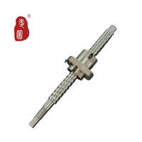 C5 High Precision Ground Ball Screw with Nut, Custom Length and Shaft End Machining for Linear Motion and Automation