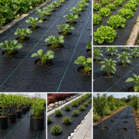 Toile de paillage noire en PP tissé pour le contrôle des adventices, idéale pour le jardinage, l'agriculture et la protection des plantes