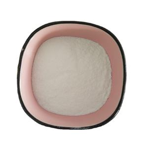 Pigmento Branco de Zinco de Alta Qualidade <span class=keywords><strong>Lithopone</strong></span> <span class=keywords><strong>B301</strong></span> (CAS 1345-05-7) Pigmento Inorgânico em Pó de Alta Cobertura para Revestimento - Product Image 1