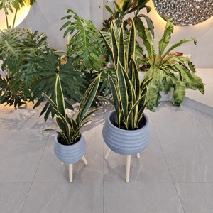 Pots de fleurs en fibre de verre modernes de Foshan avec trou de drainage, légers et écologiques, pour usage intérieur/extérieur et centres commerciaux - Product Image 1