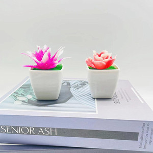 Plantas Suculentas Artificiales Qi Xing de 10 cm, Plantas en Maceta de Plástico para Escritorio, Decoraciones Ecológicas - Product Image 3