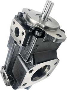 Pompe à palettes en fonte de haute qualité Jcb Mini micro pompe hydraulique remplaçant la pompe à huile servo <span class=keywords><strong>Parker</strong></span> Denison Veljan - T6C T6D T6E T7BS - Product Image 2