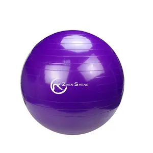 Zhensheng gym manufaktur grosir PVC antiburst yoga bola latihan kebugaran yoga bola