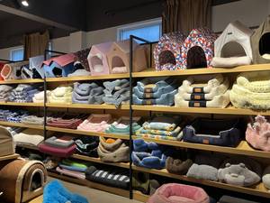 Small <b>Dog</b> <b>Carrier</b> Breathable Frame Pet <b>Car</b> Seat Safe Belt Collapsible Puppy Shoulder Carrying Bag <b>Dog</b> Booster Crate Kennel - Product Image 6