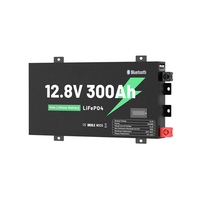 Batterie LiFePO4 Slimline à décharge profonde 12,8V 100Ah/200Ah/300Ah légère pour camping-car, bateau et système d'alimentation hors réseau