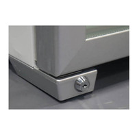 Congélateur vertical commercial compact 99L pour glaces, 3 étagères, en acier inoxydable 304, température unique, dégivrage automatique