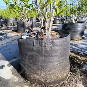 Bolsas <span class=keywords><strong>de</strong></span> <span class=keywords><strong>macetas</strong></span> <span class=keywords><strong>de</strong></span> PP <span class=keywords><strong>de</strong></span> 80 <span class=keywords><strong>litros</strong></span> HOKBG para plantar árboles jóvenes al aire libre, <span class=keywords><strong>macetas</strong></span> y <span class=keywords><strong>macetas</strong></span> <span class=keywords><strong>de</strong></span> 20 galones, bolsas <span class=keywords><strong>de</strong></span> plástico para cultivo <span class=keywords><strong>de</strong></span> plántulas - Product Image 1