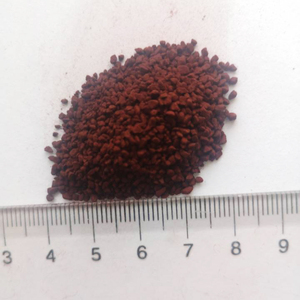 Engrais 100% soluble dans l'eau EDDHA Fe 6% Poudre Ortho 1.2 pour sols alcalins - Product Image 4