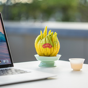 Plateau en céramique sur pieds pour fruits et thé, rond, en porcelaine, style simple, plateau de présentation de plantes pour le bureau, idéal pour les cadeaux - Product Image 3