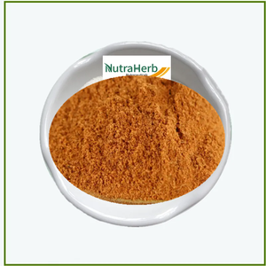 Высокое качество 6 в 1, мощный экстракт грибов, порошок, Львиная Грива, кордицепс, Рейши, Чага, индейка, экстракт майтаке - Product Image 2