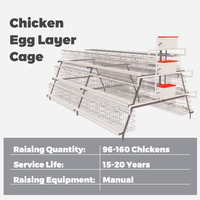 Cage en couches 1000 10000 Oiseaux Poulets Batterie Volaille Ferme Cages à poulets Prix Couches Cages à volaille Poulets en batterie à vendre