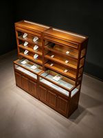 Vitrines de Comptoir pour Bijouterie GZowin avec Éclairage LED pour Objets de Collection et Bijoux en Or - Design Personnalisable, Durable, Haute Qualité
