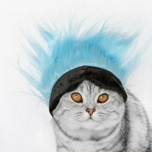 Peluca Multicolor para Mascotas, Divertida Máscara de Ojos de Gato, Gorro para Perros, Estilo de Fiesta, Peluca Corta de Gato de Dibujos Animados - Product Image 6