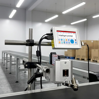 Imprimante thermique à bande rapide Tij avec encre à solvant pour impression automatique sur carton et sacs plastiques sur 5 lignes