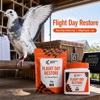 Électrolytes Premium pour Pigeons de Course : Récupération Post-Compétition, Réhydratation Rapide et Performance – Marque Privée, Source OEM, Laboratoire