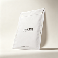 Enveloppes en papier kraft blanc personnalisées en gros avec logo pour l'emballage des vêtements