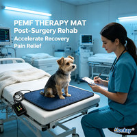 Popular Whole Body Comfort Mat Veterinary PEMF Mat Sports Recovery Rehabilitation Equine PEMF Therapy Mat
