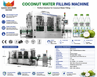 Machine de remplissage automatique personnalisée pour eau de coco, remplisseuse de boissons en bouteille PET, système de remplissage haute précision