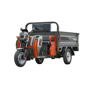 China Factory Moto Tricycle Cargo 60v 1000w Wheel Electric Cargo Trike Best Safety Popular Cargo Electric Tricycles