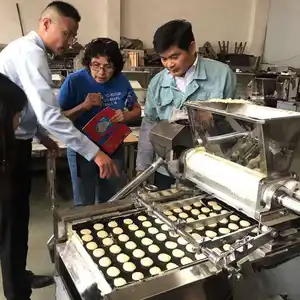 Machine pour fabrication de biscuits en plein air, boules de pâte à cookies et biscuits, petite plante automatique