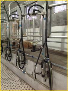 เครื่องรีดนมวัวแบบอัตโนมัติ,เครื่องรีดนมวัวระบบไฟฟ้า - Product Image 4