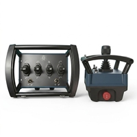 Télécommande radio industrielle sans fil pour grue, joystick d'embrayage, commande personnalisée pour machines hydrauliques, arrêt d'urgence, IP68, 500m