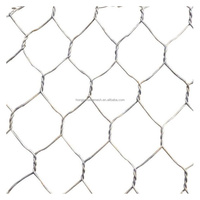 Grillage gabion haute résistance pour les projets de construction à grande échelle et de lutte contre l'érosion