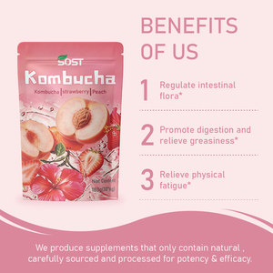 <span class=keywords><strong>Kombucha</strong></span> de Frutas en Polvo Personalizada con Fruta Real, Marca Privada OEM - Product Image 3