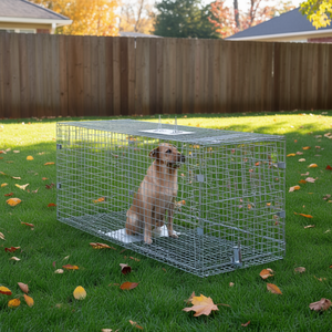 Piège à cage en fer galvanisé pour animaux vivants 50 x 20 x 26 avec poignée pliable – Équipement d'entraînement pour chiens errants et animaux domestiques - Product Image 2