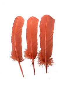 Pluma de Pavo Real <span class=keywords><strong>Auga</strong></span> para Manualidades, Tocados, Sombreros, Disfraces, Cosplay, Accesorios, Carnaval, Fiesta, Boda, Decoración Floral para el Hogar - Product Image 3