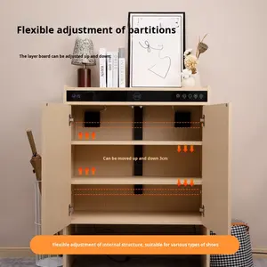 ארון נעליים מעץ חכם לחיטוי, ייבוש, דאודורנט, מינימליסטי, מודרני, לאחסון נעליים בכניסה לבית - Product Image 5