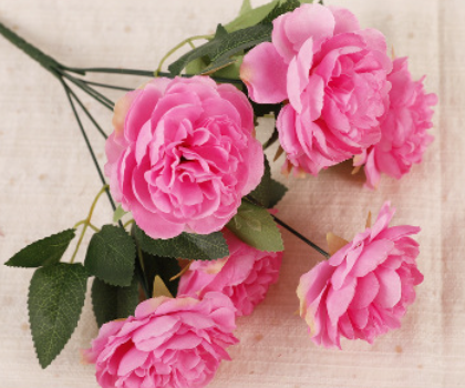 สีชมพูเข้ม