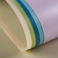PVC Vinyl latar belakang fotografi, latar belakang foto Morandi tahan air untuk Studio fotografi