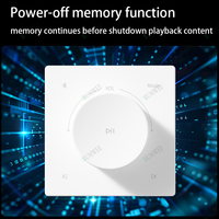 86 tipi Mini ses duvar amplifikatörler bluetooth TF AUX müzik kontrol cihazı Panel Stereo tavan hoparlörler denetleyici ev sinema sistemleri
