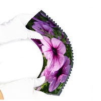 Pantalla LED Flexible para Interiores Fulida P2.6 3D, Efecto 3D 8K, Empalme Rápido sin Costuras, Podio a Todo Color, Alto Brillo