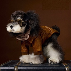 เสื้อผ้าสัตว์เลี้ยง เสื้อแจ็คเก็ตหนัง PU สไตล์อังกฤษย้อนยุคสำหรับสุนัข แขนยาว <span class=keywords><strong>กางเกง</strong></span>สองสายรัดเก๋ไก๋ คุณภาพสูง โลโก้ปรับแต่งได้ - Product Image 2