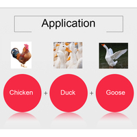 Nouveau design haute efficacité machine à cueillir les plumes de volaille machine à enlever les plumes de volaille machine à enlever les plumes de poulet
