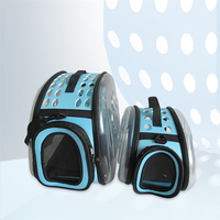 2024 nouveaux produits de luxe grand espace Portable unique épaule sac à main maille respirant voyage Pet chat chien extérieur sac de transport