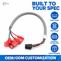 Harnais de câbles personnalisé multi-branques Molex 3,0 mm en cuivre étamé avec bornes rouges en PVC / CE pour l'automatisation industrielle, l'équipement médical et les appareils ménagers
