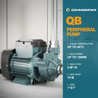 GRANDFAR QB50 125W 220V Pompe à Eau Périphérique Haute Pression avec Moteur en Cuivre Pur, Surpresseur Électrique de Surface