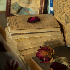 Paquete <span class=keywords><strong>de</strong></span> 100 hojas <span class=keywords><strong>de</strong></span> plástico, Aerial, aper, ook - Product Image 4