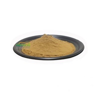 Aliments naturels purs et sains, poudre d'extrait de cactus, poudre d'extrait de cactus certifiée ISO
