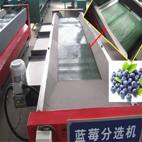 Blueberry Sorteren Cherry Tomaat Cherry Kalibrator Sorter Machine