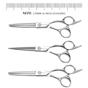 Home Use Hair Cutting Salon Scissors Kit Stainless Steel Barber Thinning Shears With Sharp Blade Tip For Hairdressing