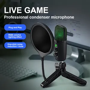Quality Desktop Stand Rgb Live Streaming Computer USB Wired Gaming Podcast Recording Studio Equipment Mic Condenser Microphone