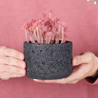 Pot de fleur créatif en céramique volcanique, bassin suspendu à texture naturelle, ornement d'aromathérapie, nouvelles idées de produits 2024