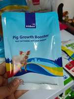 Piggy Health Powder Probiotics Supplement Intestinal Digestion Swine Growth Intestinal Stomach Modifier