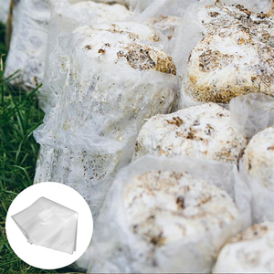Sac de <span class=keywords><strong>culture</strong></span> en polyéthylène résistant à la déchirure de 0,06 à 0,08 mm pour <span class=keywords><strong>culture</strong></span> de <span class=keywords><strong>champignons</strong></span>, grand format, <span class=keywords><strong>kit</strong></span> de 5 lb, prix direct usine - Product Image 4